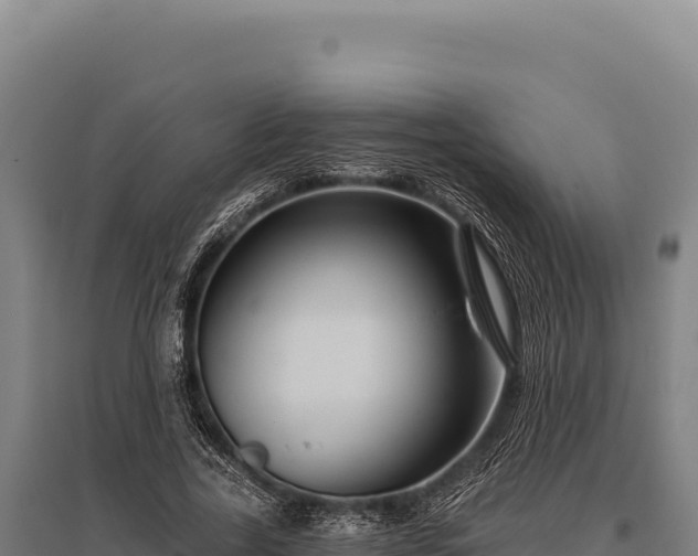 X0000095960731200801181444