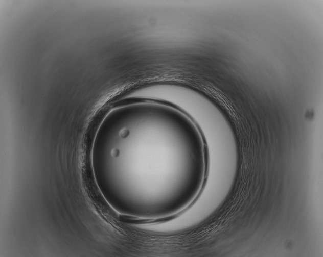 X0000095960732200801181444