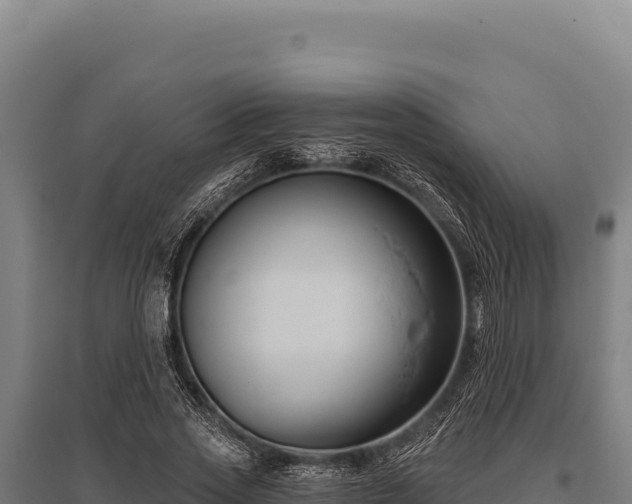 X0000095960733200801181444