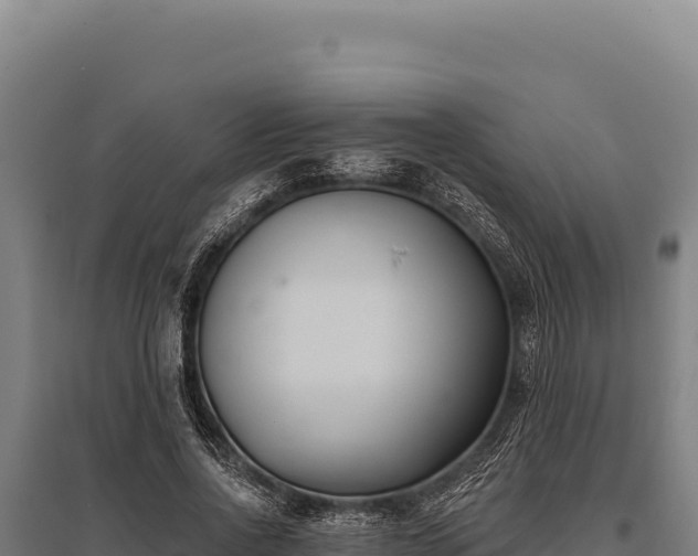 X0000095960734200801181444