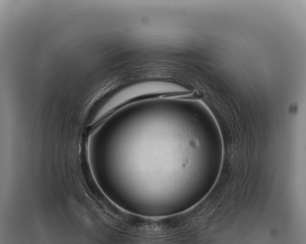 X0000095960735200801181444