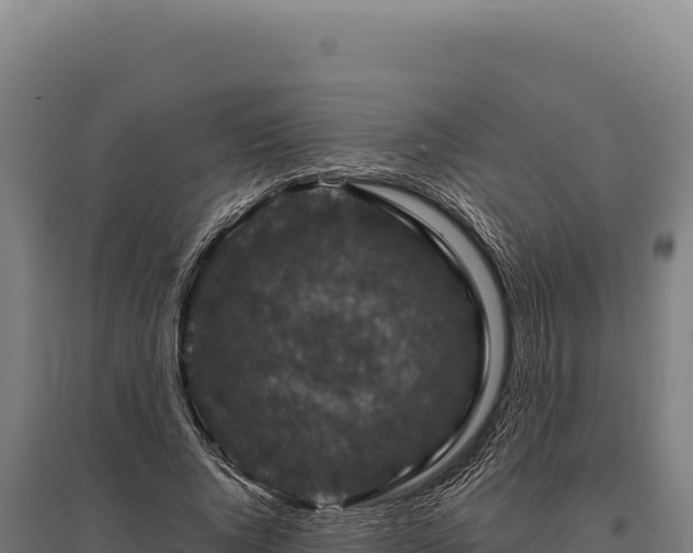 X0000095960736200801181444