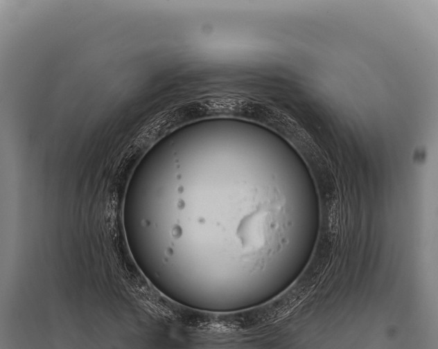 X0000095960737200801181444