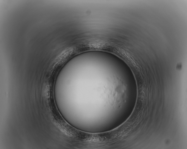 X0000095960738200801181444