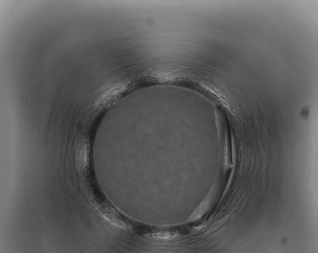 X0000095960740200801181444