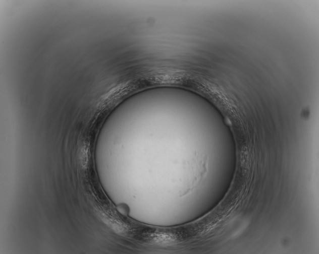 X0000095960741200801181444