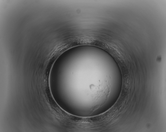 X0000095960743200801181444