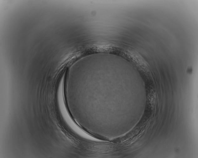 X0000095960744200801181444