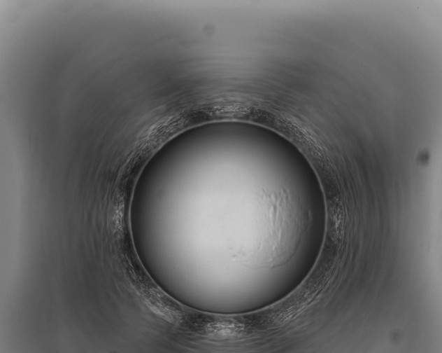 X0000095960745200801181444