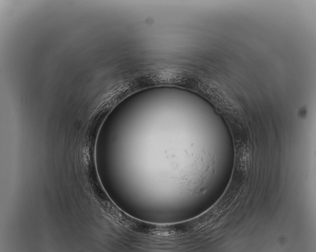 X0000095960746200801181444