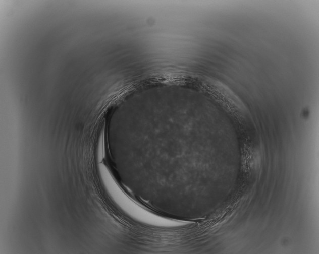 X0000095960748200801181445