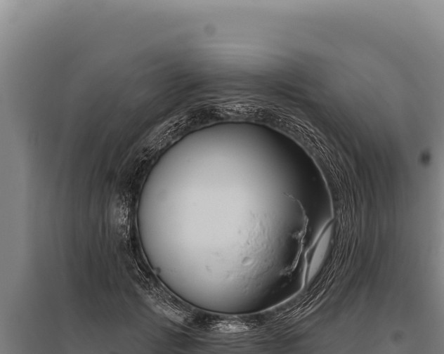 X0000095960749200801181445