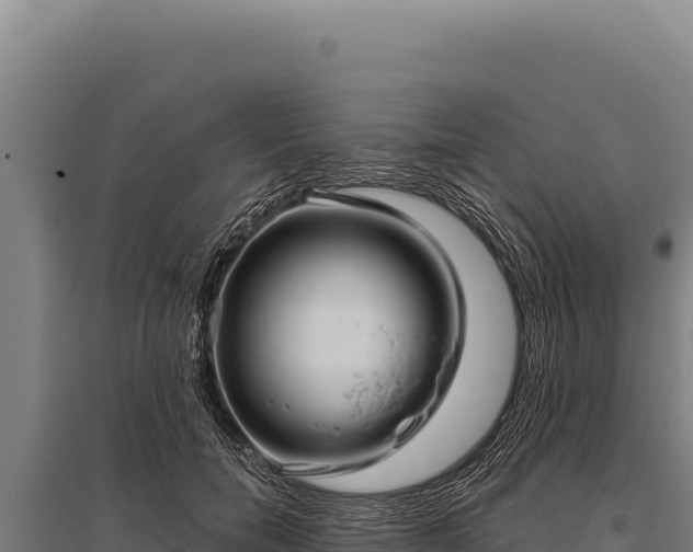 X0000095960750200801181445