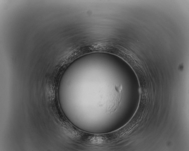 X0000095960751200801181445