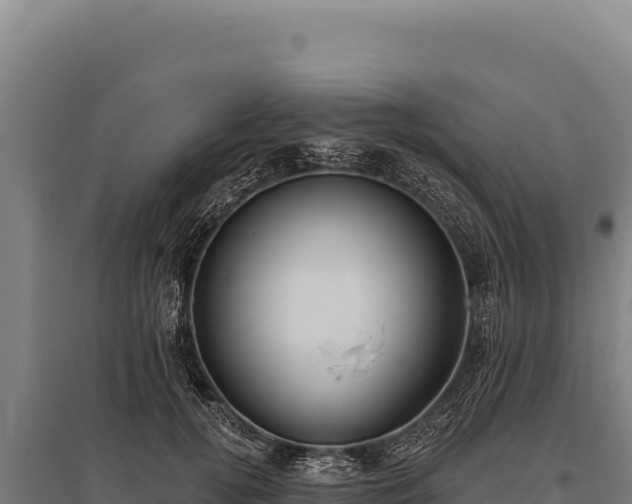 X0000095960752200801181445