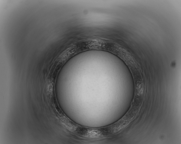 X0000095960753200801181445