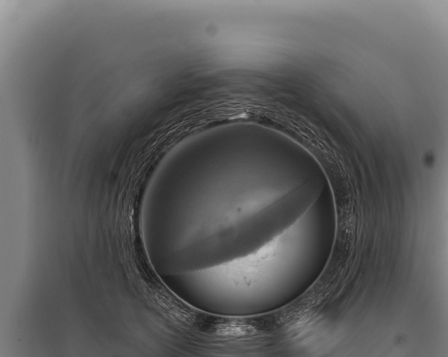 X0000095960754200801181445