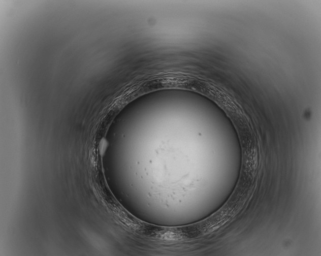 X0000095960755200801181445