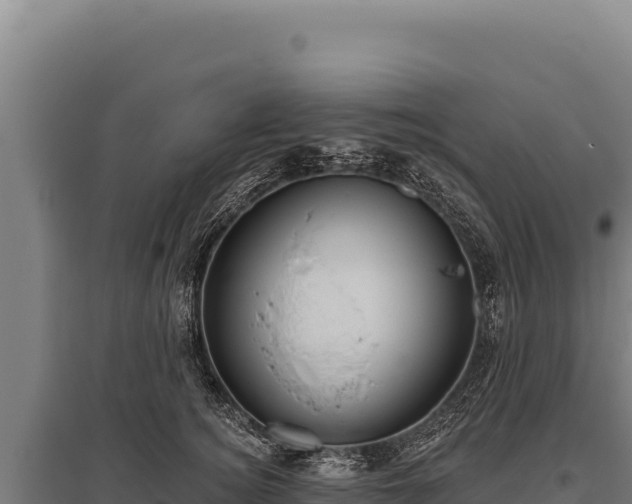 X0000095960756200801181445