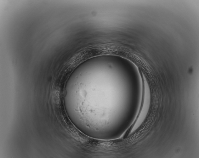 X0000095960757200801181445