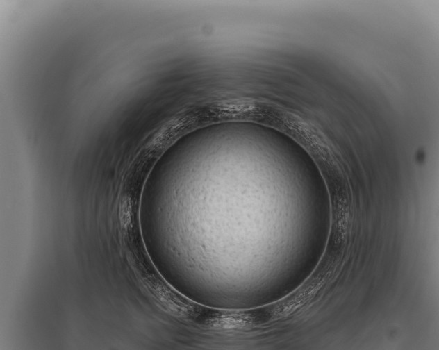 X0000095960758200801181445