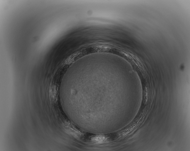 X0000095960759200801181445