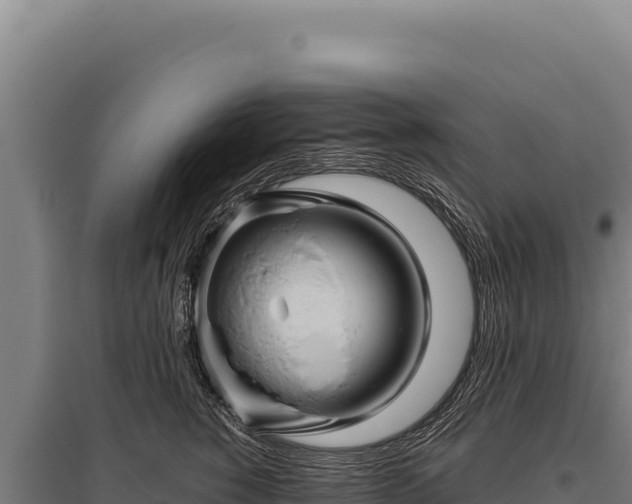 X0000095960760200801181445