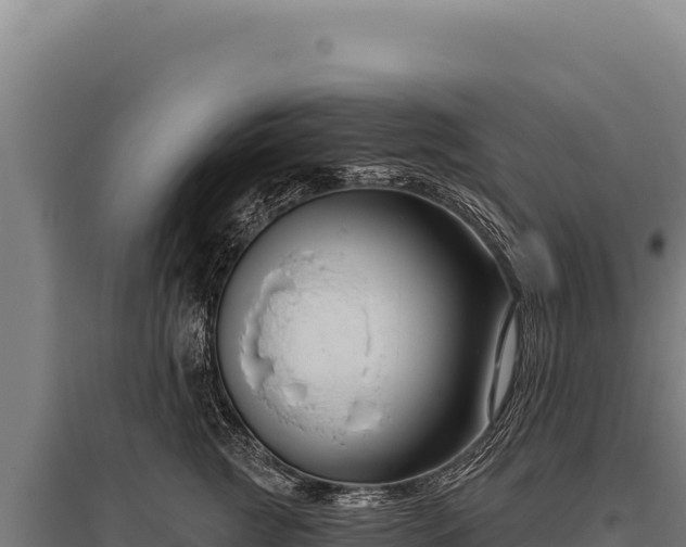 X0000095960761200801181445