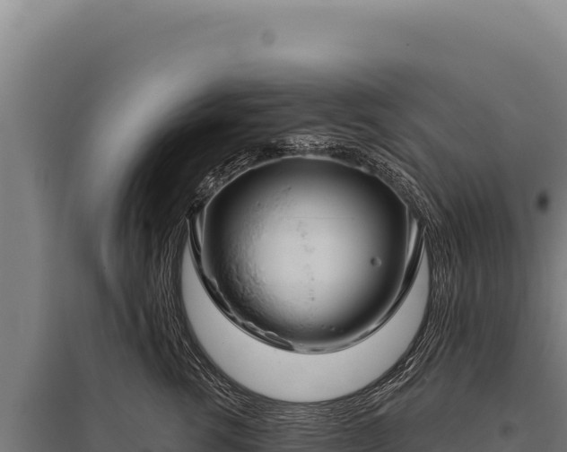 X0000095960762200801181445