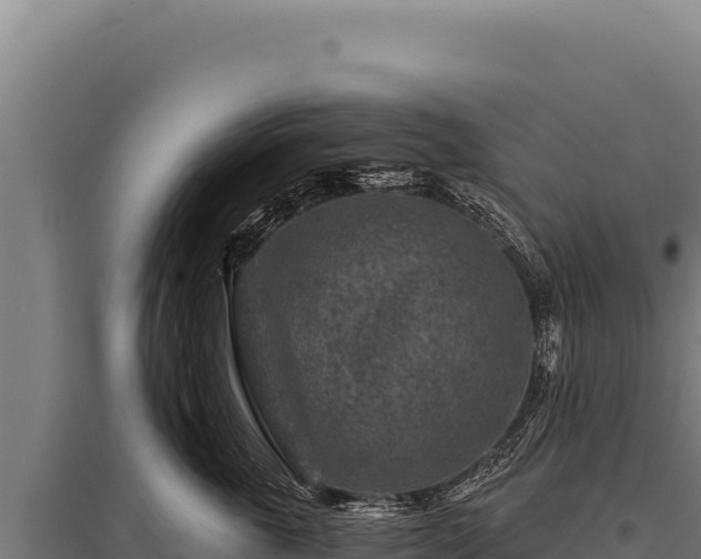 X0000095960763200801181445