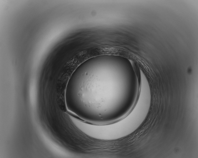 X0000095960764200801181445