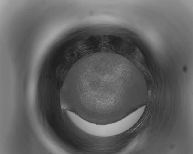 X0000095960765200801181445