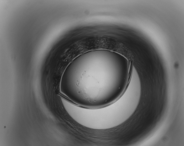 X0000095960766200801181445