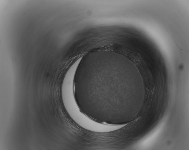 X0000095960767200801181445