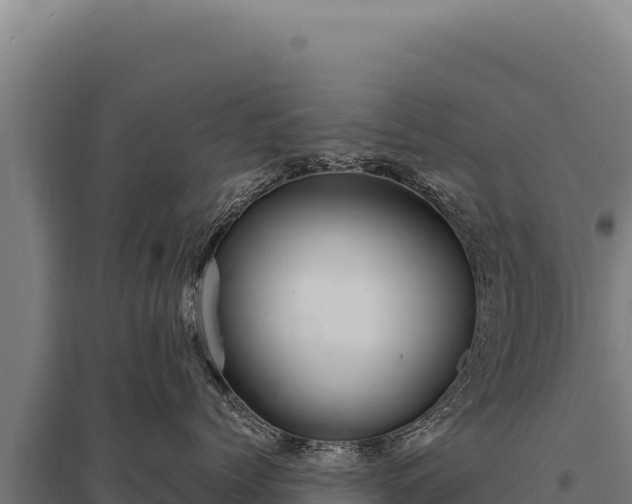 X0000095960768200801181445