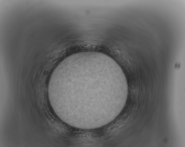 X0000095960769200801181444