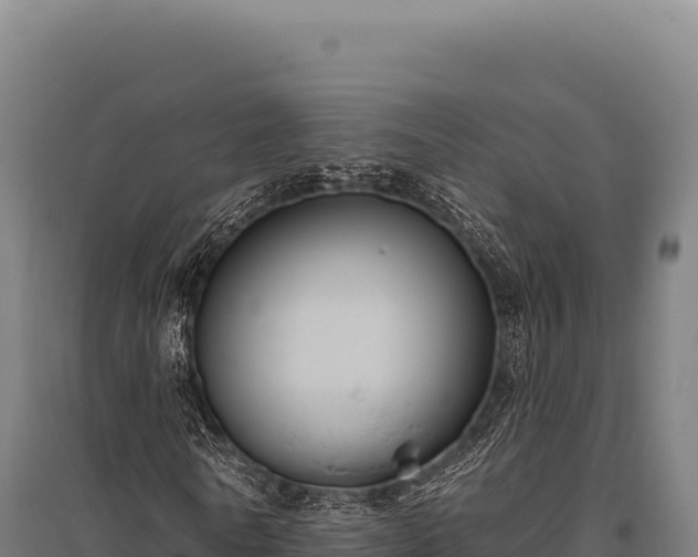 X0000095960770200801181444