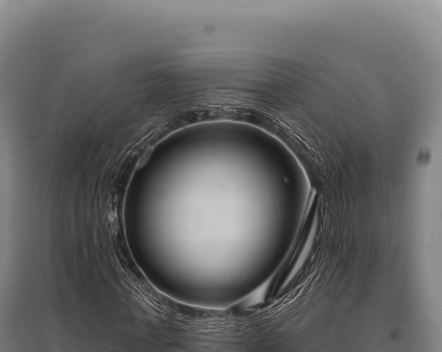 X0000095960771200801181444