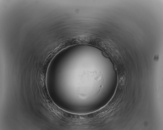 X0000095960772200801181444