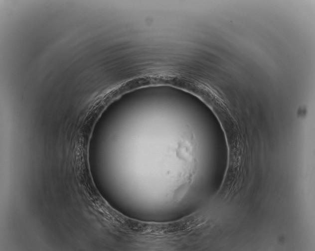 X0000095960773200801181444