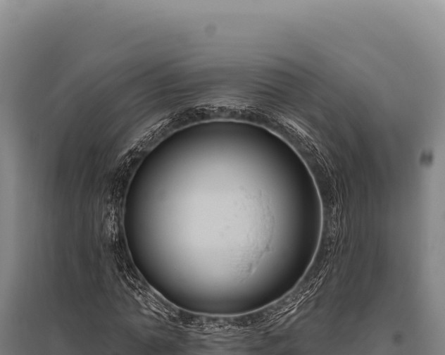 X0000095960774200801181444