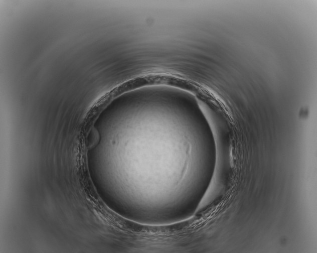 X0000095960775200801181444