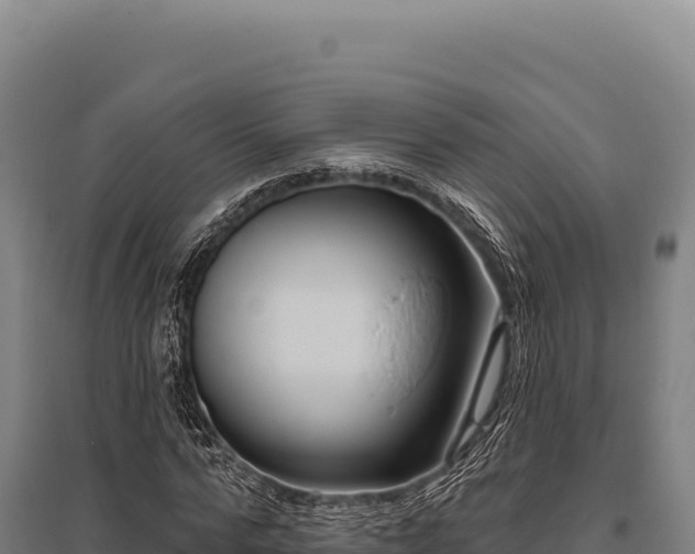 X0000095960776200801181444