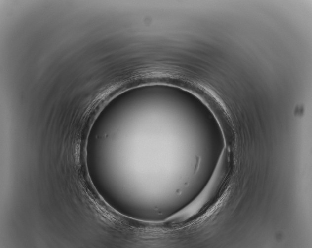 X0000095960777200801181444