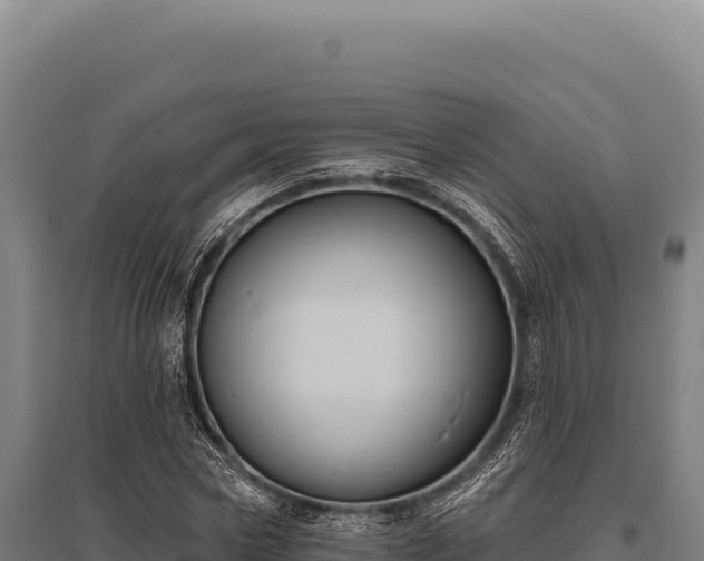 X0000095960778200801181444