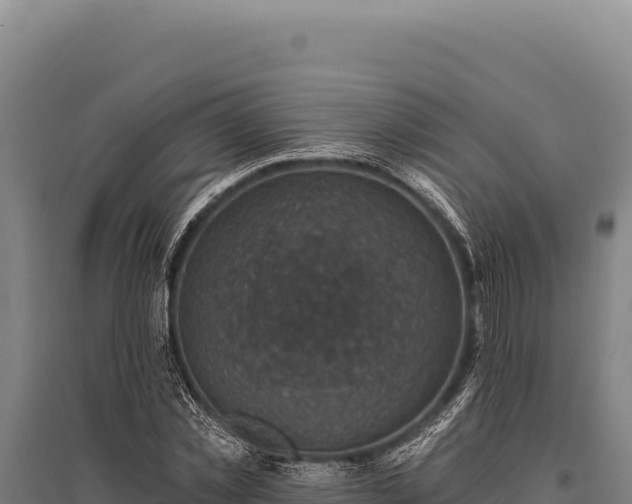 X0000095960781200801181444