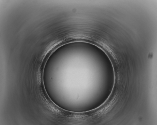 X0000095960782200801181444