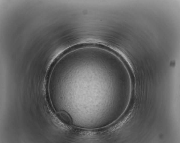 X0000095960783200801181444