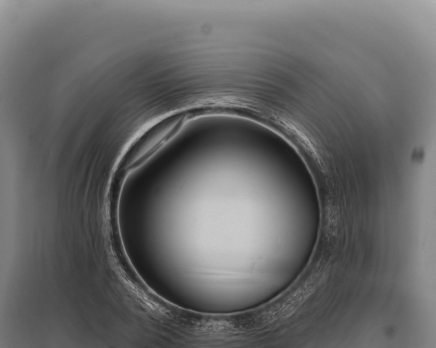 X0000095960784200801181444