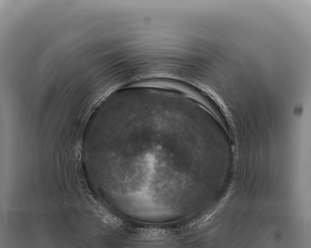 X0000095960785200801181444